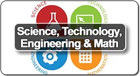 stem